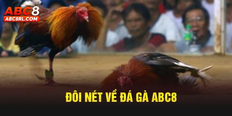 Giới thiệu tổng quan về sảnh đá gà ABC8 Giới thiệu tổng quan về sảnh đá gà ABC8