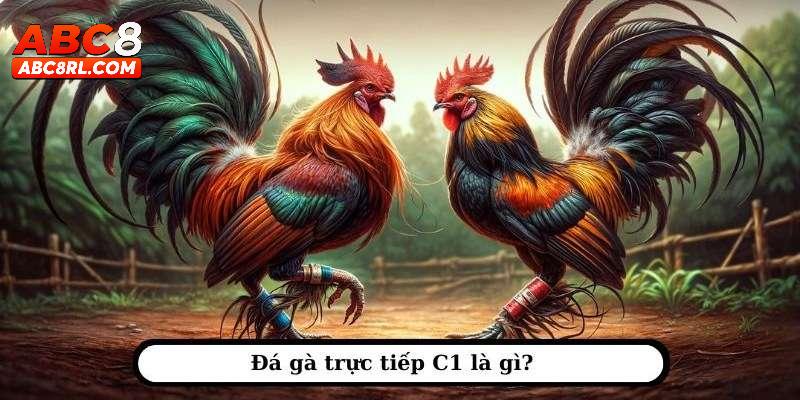 Giới thiệu đôi nét về đá gà C1 tại ABC8 Giới thiệu đôi nét về đá gà C1 tại ABC8