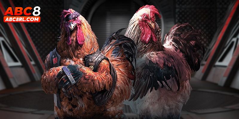 Ưu điểm mà sảnh đá gà ABC8 mang lại cho người chơi Ưu điểm mà sảnh đá gà ABC8 mang lại cho người chơi